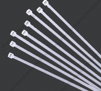 1-021 Nylon Cable Tie